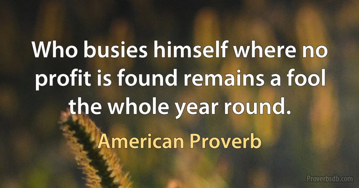 Who busies himself where no profit is found remains a fool the whole year round. (American Proverb)