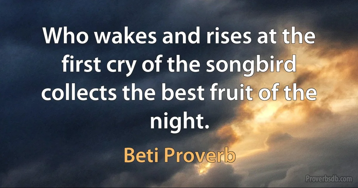 Who wakes and rises at the first cry of the songbird collects the best fruit of the night. (Beti Proverb)