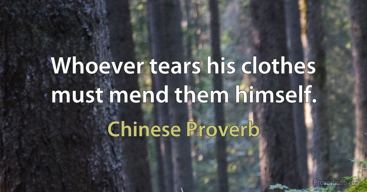 Whoever tears his clothes must mend them himself. (Chinese Proverb)