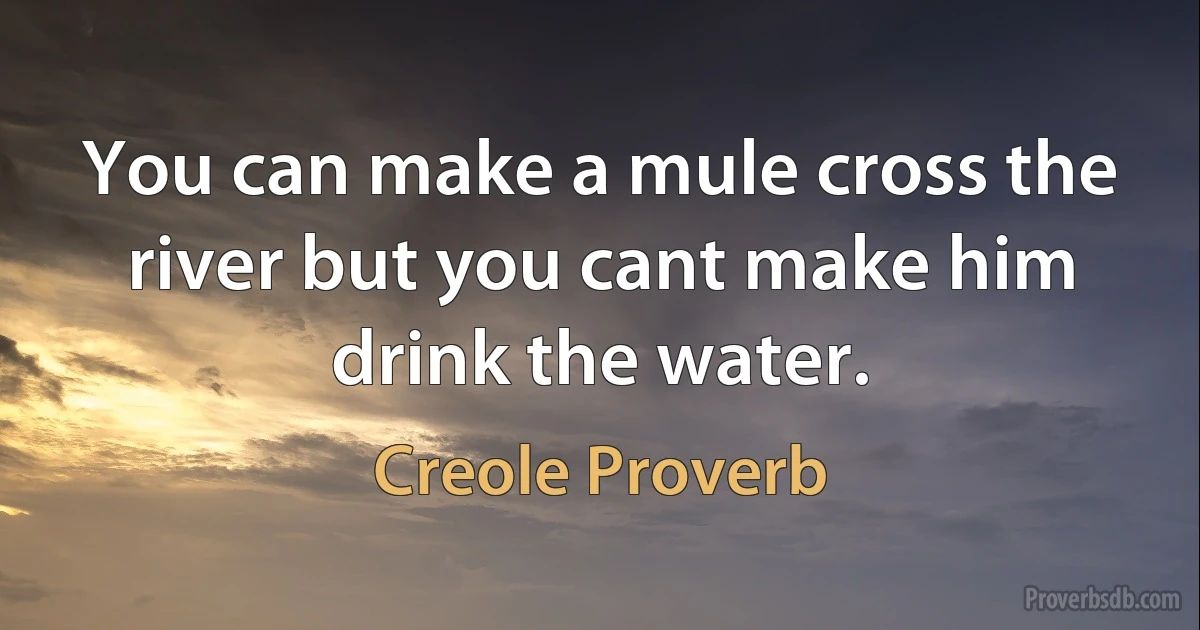 You can make a mule cross the river but you cant make him drink the water. (Creole Proverb)