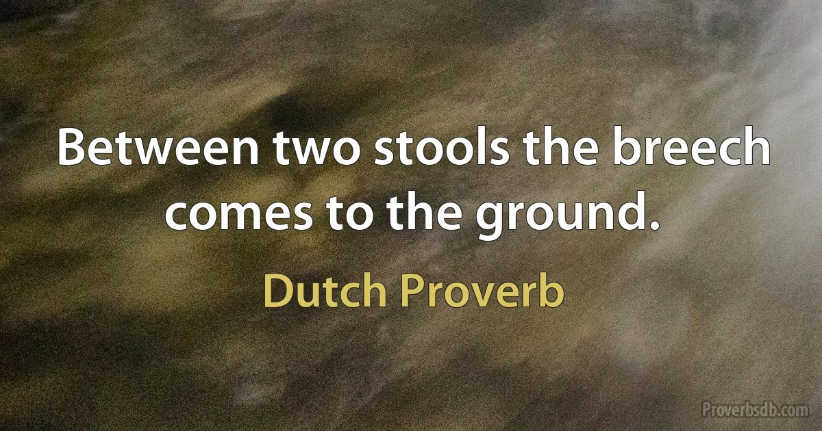 Between two stools the breech comes to the ground. (Dutch Proverb)