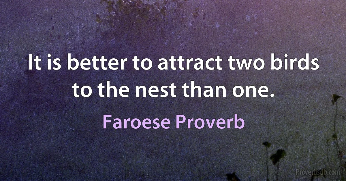 It is better to attract two birds to the nest than one. (Faroese Proverb)