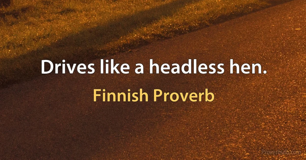 Drives like a headless hen. (Finnish Proverb)