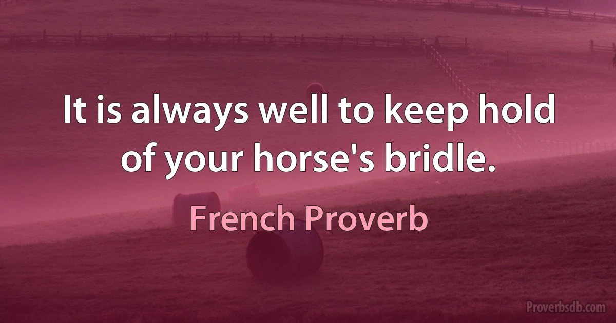 It is always well to keep hold of your horse's bridle. (French Proverb)