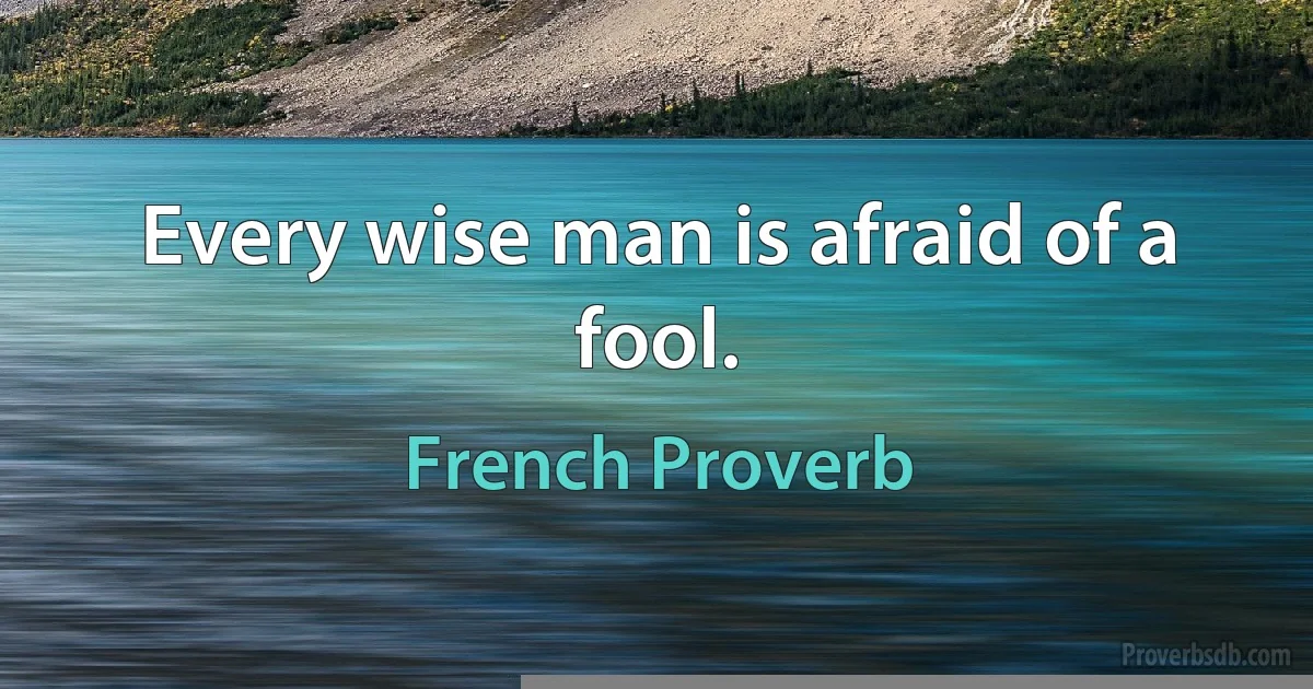 Every wise man is afraid of a fool. (French Proverb)