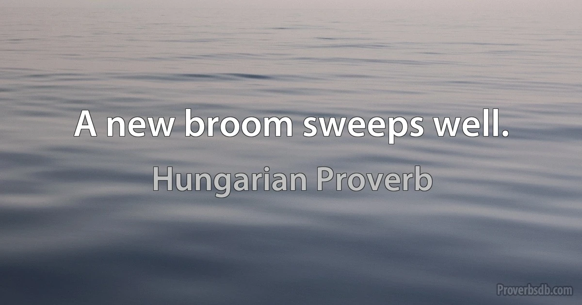 A new broom sweeps well. (Hungarian Proverb)