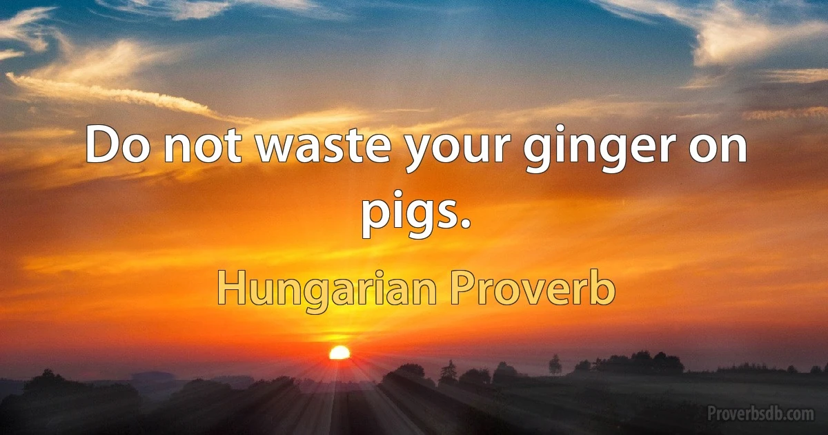 Do not waste your ginger on pigs. (Hungarian Proverb)