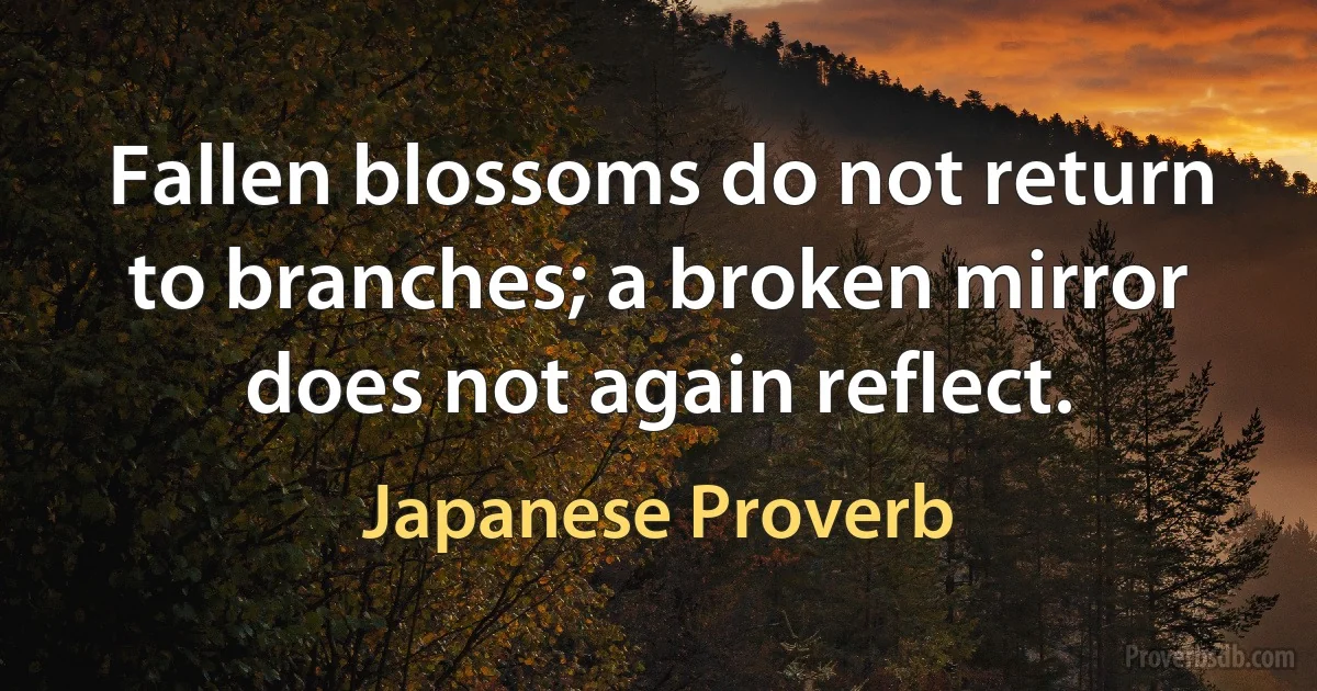 Fallen blossoms do not return to branches; a broken mirror does not again reflect. (Japanese Proverb)