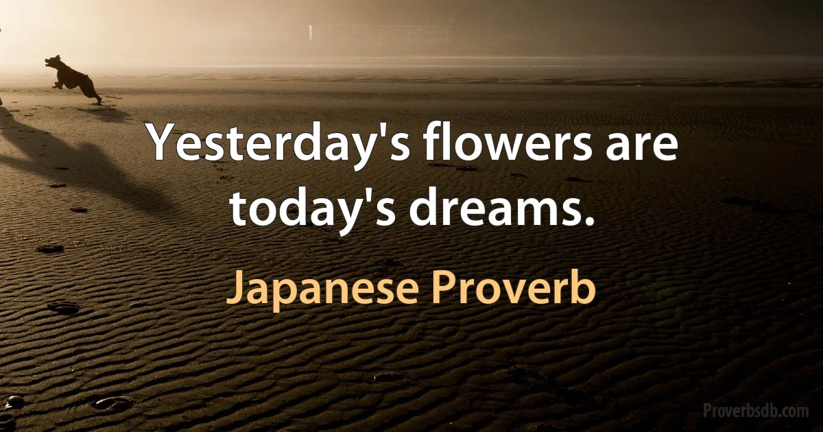 Yesterday's flowers are today's dreams. (Japanese Proverb)