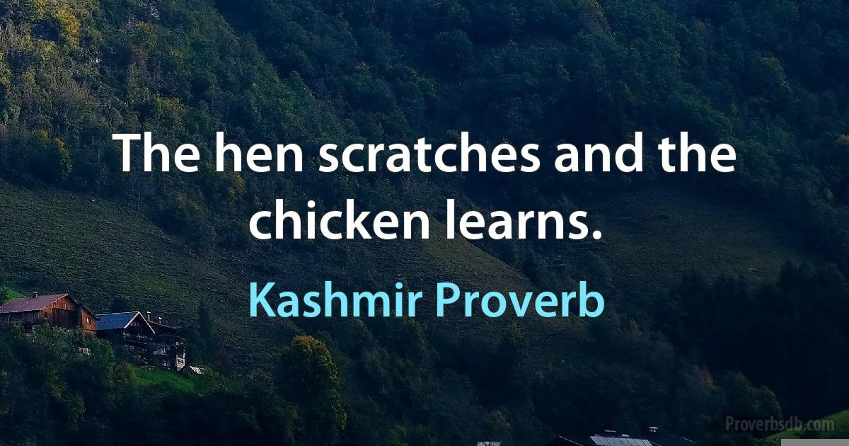 The hen scratches and the chicken learns. (Kashmir Proverb)