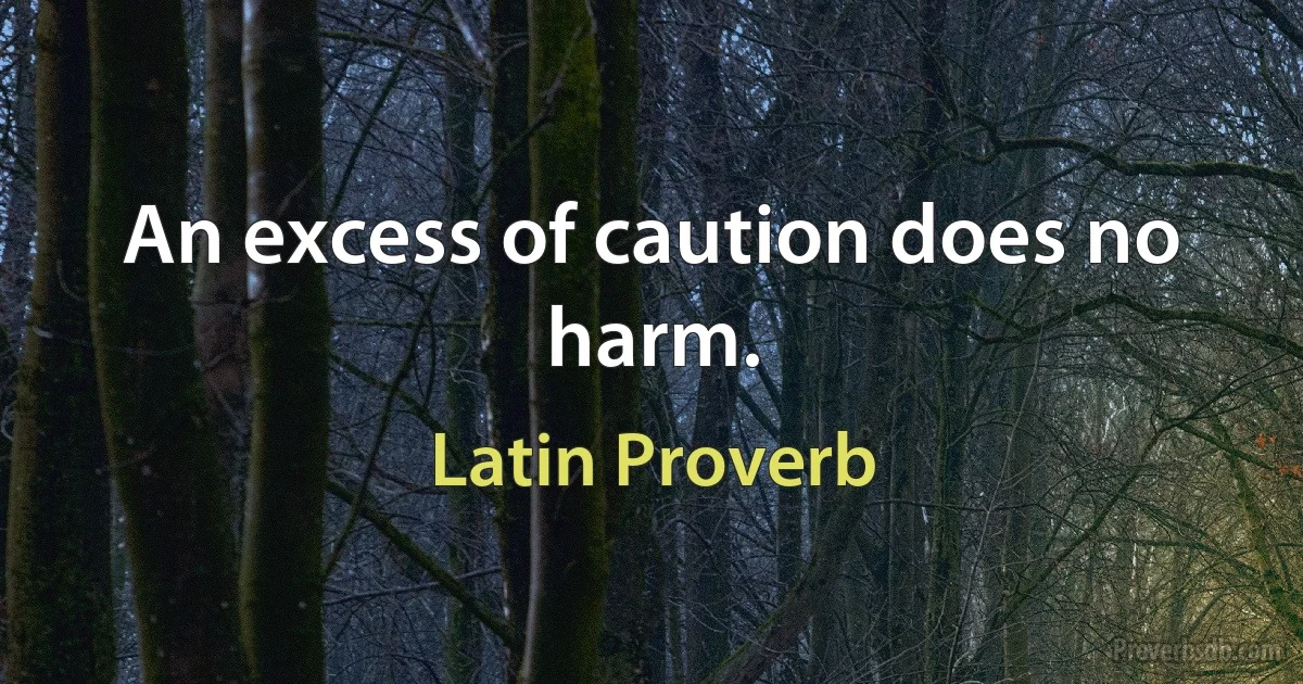 An excess of caution does no harm. (Latin Proverb)