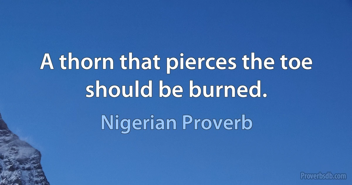 A thorn that pierces the toe should be burned. (Nigerian Proverb)