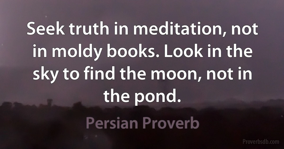 Seek truth in meditation, not in moldy books. Look in the sky to find the moon, not in the pond. (Persian Proverb)