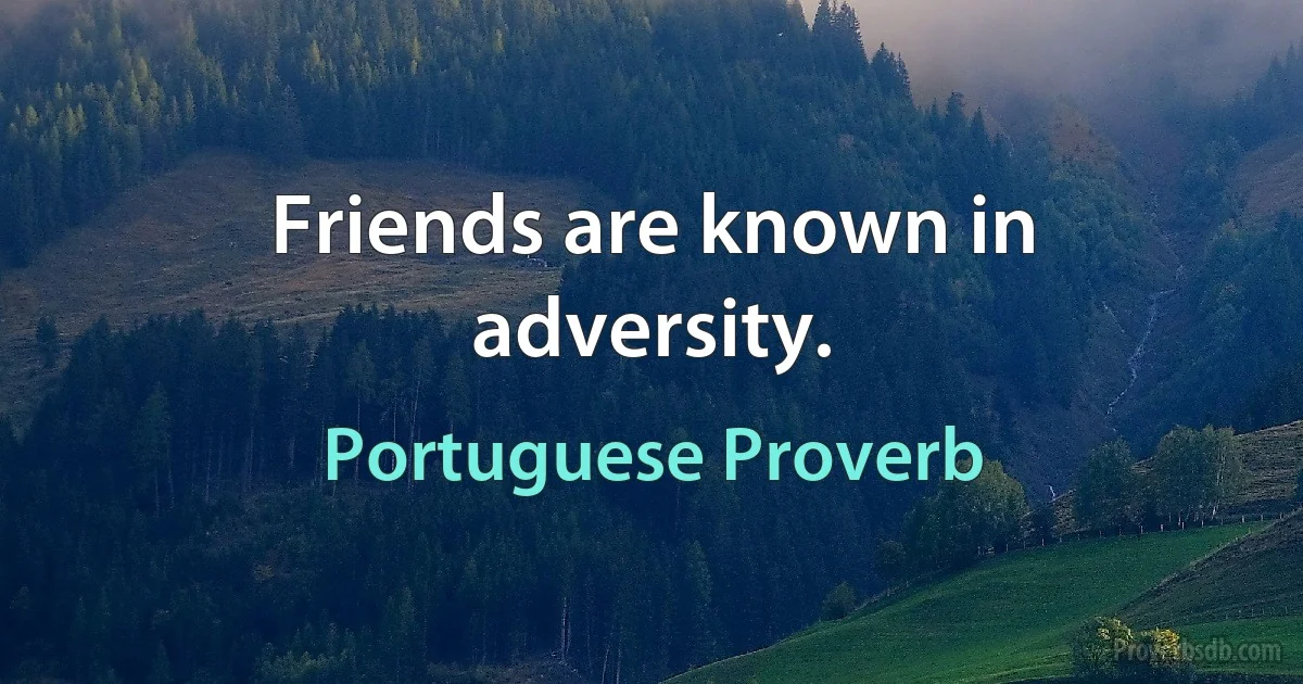 Friends are known in adversity. (Portuguese Proverb)