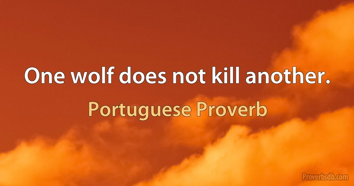 One wolf does not kill another. (Portuguese Proverb)