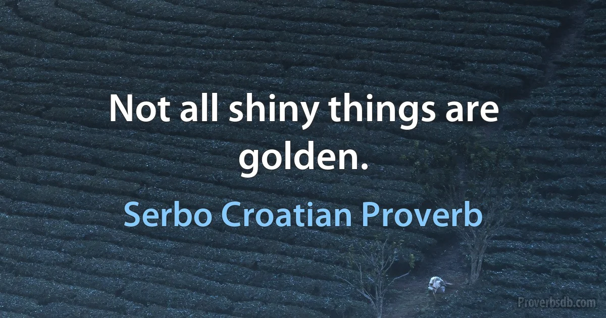 Not all shiny things are golden. (Serbo Croatian Proverb)