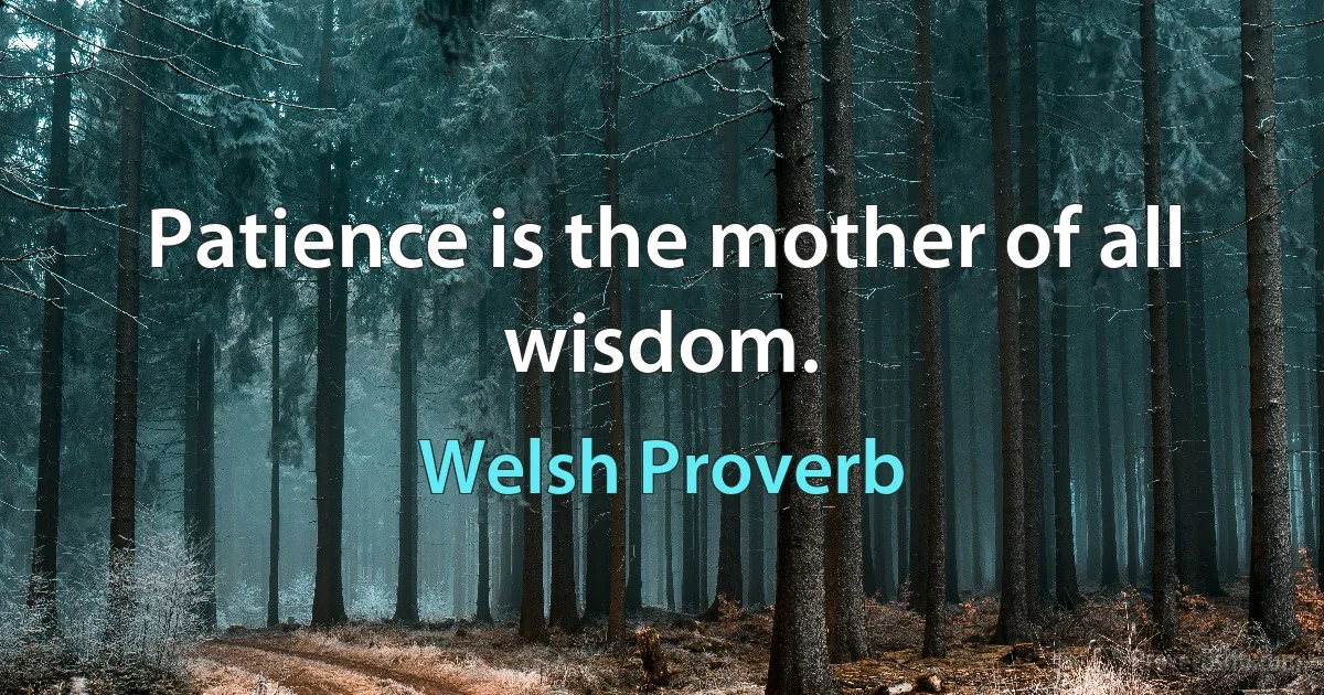 Patience is the mother of all wisdom. (Welsh Proverb)