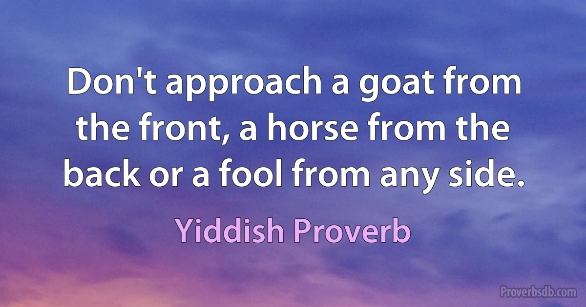 Don't approach a goat from the front, a horse from the back or a fool from any side. (Yiddish Proverb)