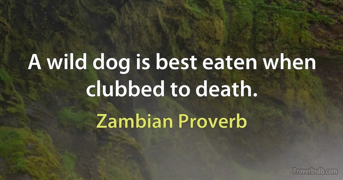 A wild dog is best eaten when clubbed to death. (Zambian Proverb)