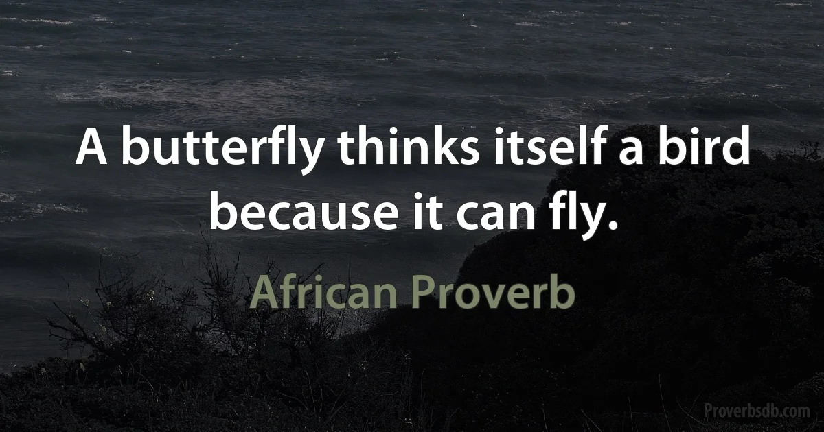 A butterfly thinks itself a bird because it can fly. (African Proverb)