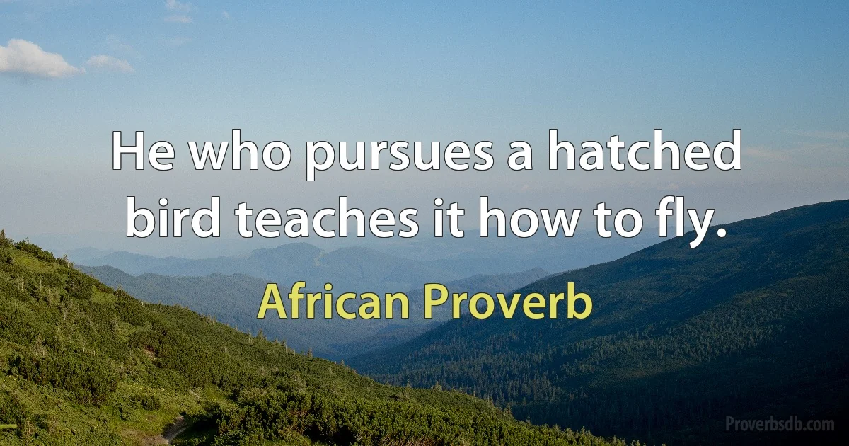 He who pursues a hatched bird teaches it how to fly. (African Proverb)