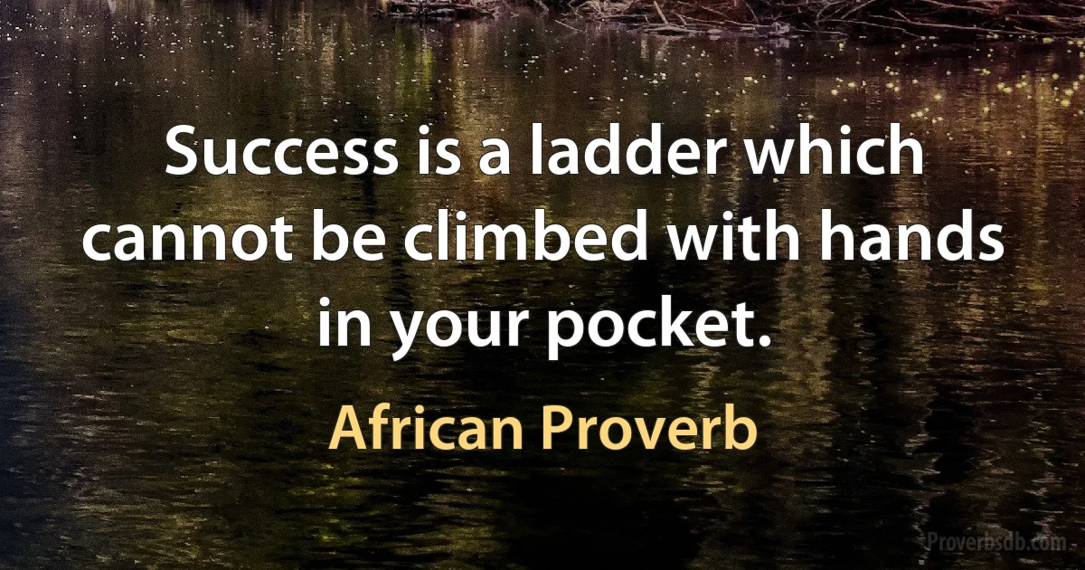 Success is a ladder which cannot be climbed with hands in your pocket. (African Proverb)