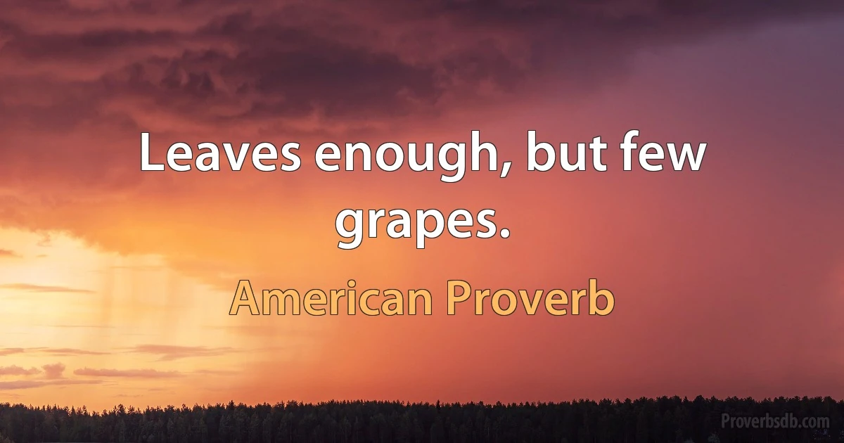 Leaves enough, but few grapes. (American Proverb)