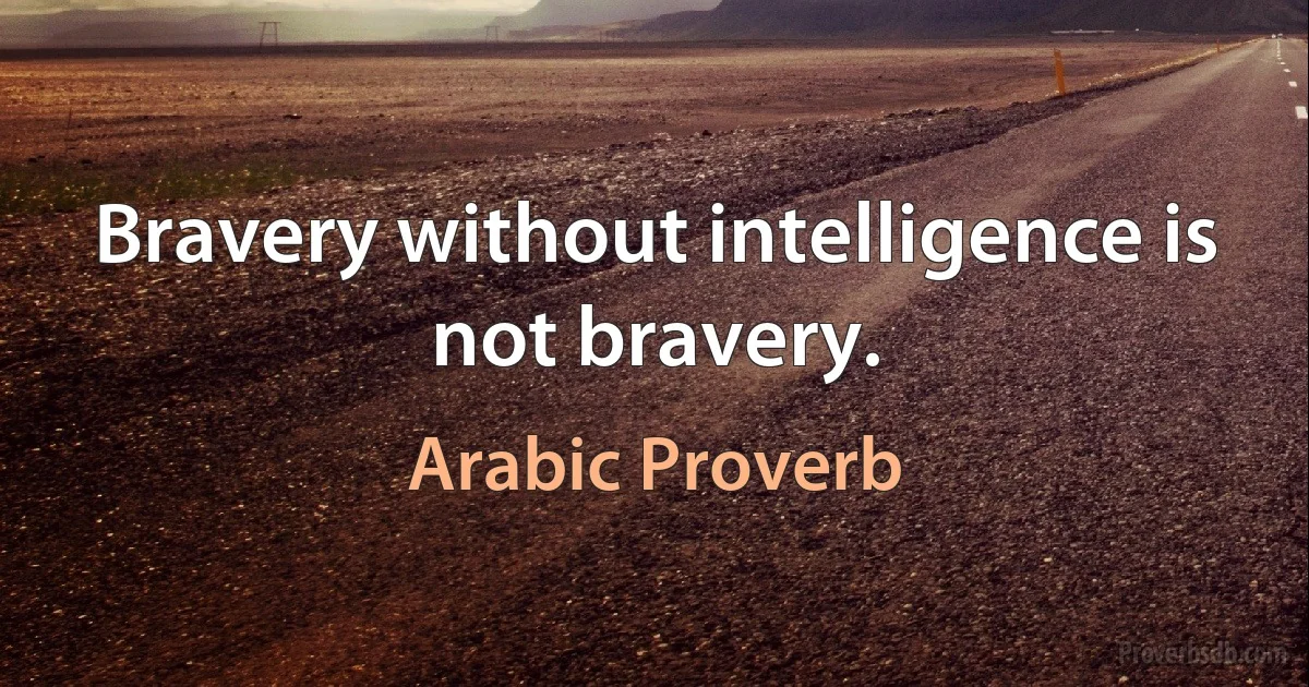 Bravery without intelligence is not bravery. (Arabic Proverb)