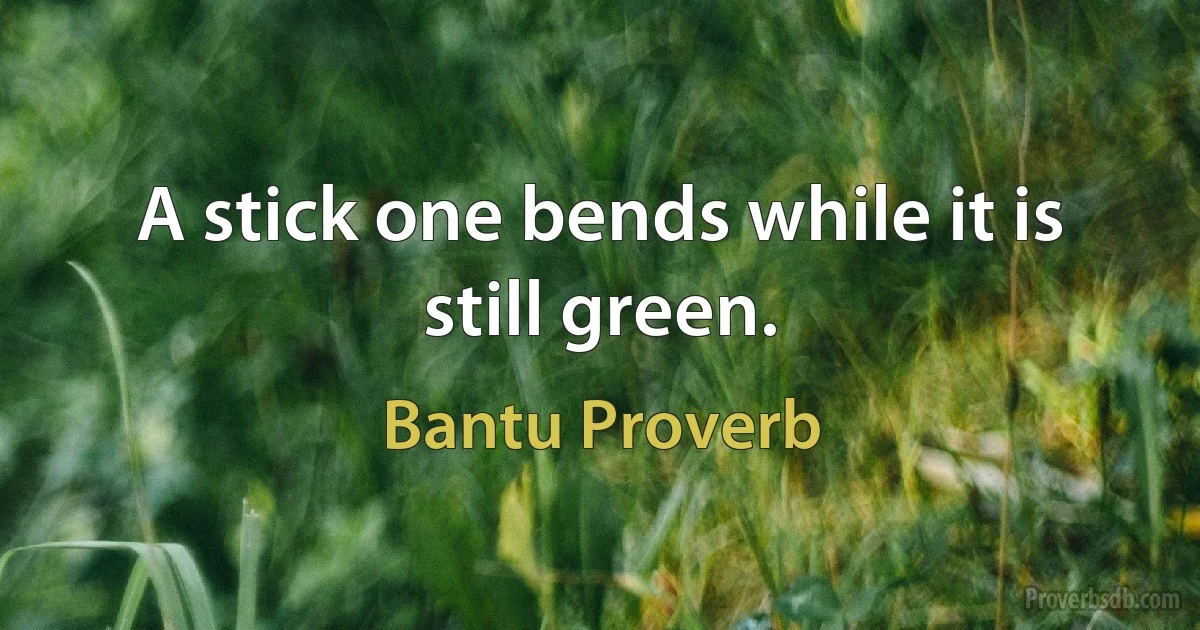 A stick one bends while it is still green. (Bantu Proverb)