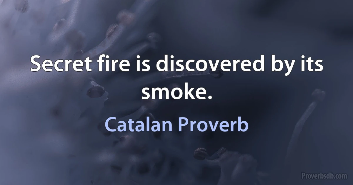 Secret fire is discovered by its smoke. (Catalan Proverb)