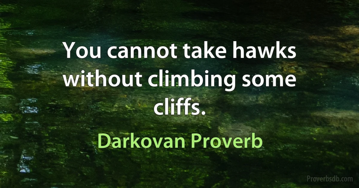 You cannot take hawks without climbing some cliffs. (Darkovan Proverb)