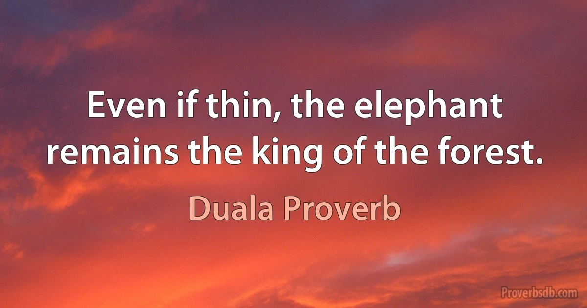 Even if thin, the elephant remains the king of the forest. (Duala Proverb)