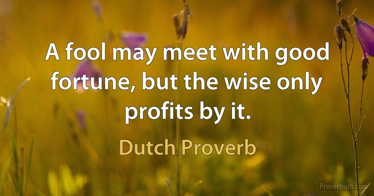 A fool may meet with good fortune, but the wise only profits by it. (Dutch Proverb)