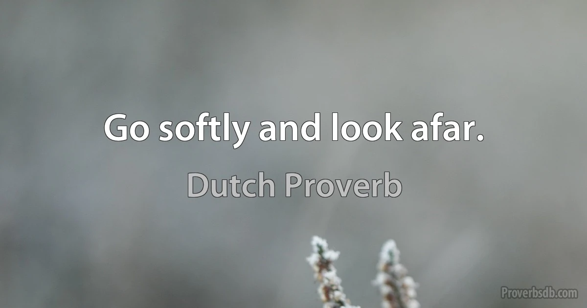 Go softly and look afar. (Dutch Proverb)