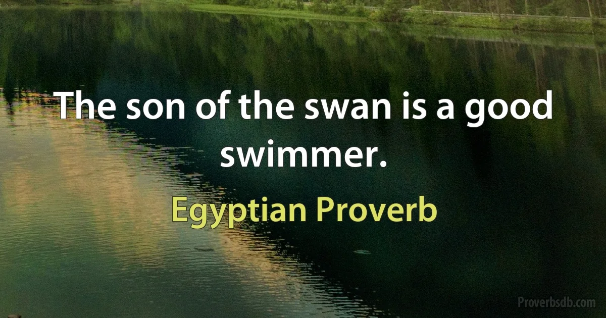 The son of the swan is a good swimmer. (Egyptian Proverb)