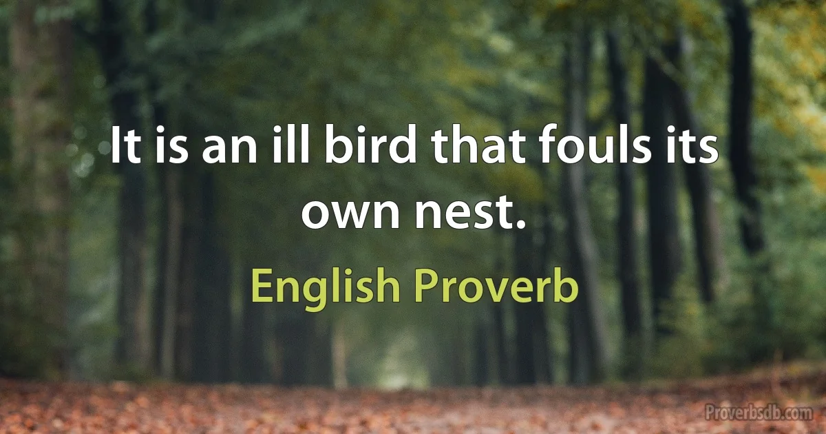 It is an ill bird that fouls its own nest. (English Proverb)