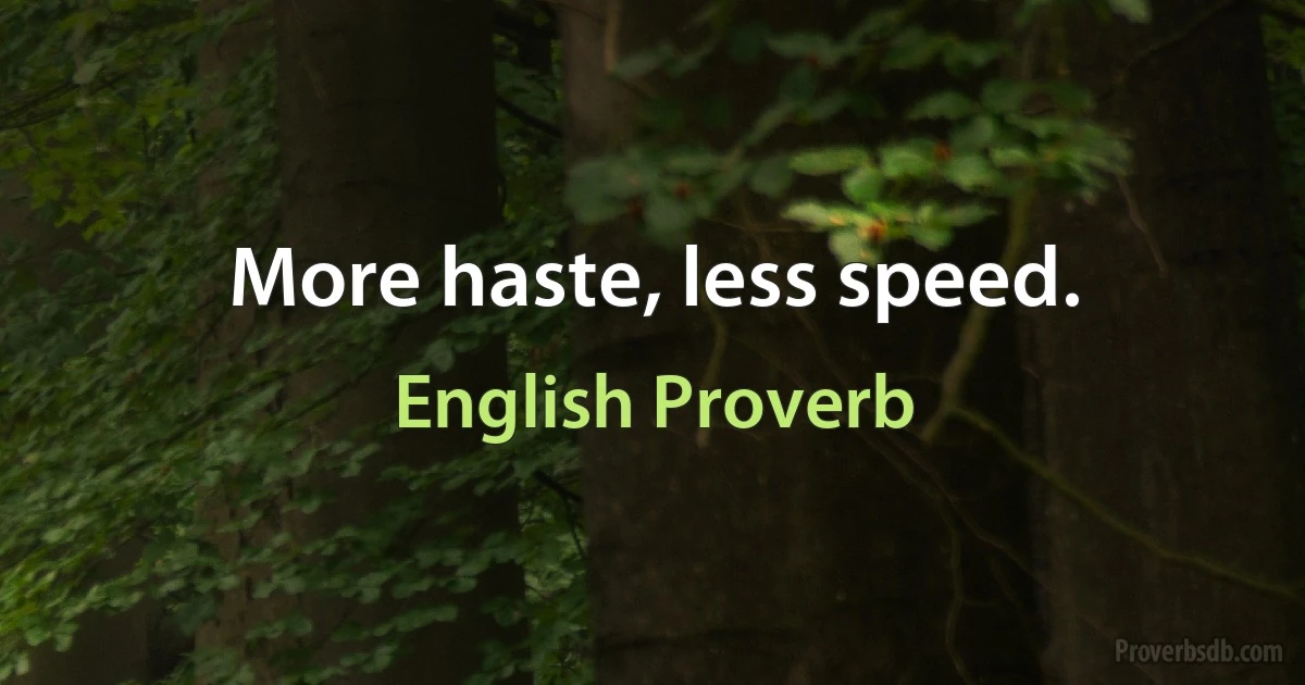 More haste, less speed. (English Proverb)