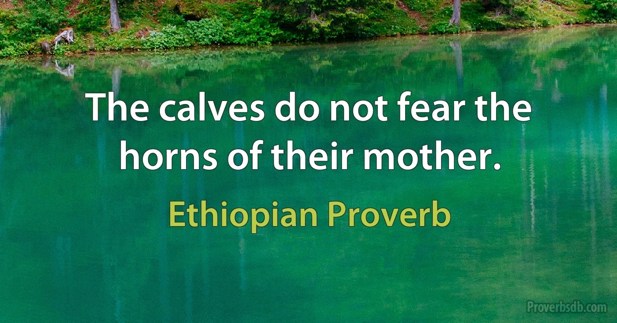 The calves do not fear the horns of their mother. (Ethiopian Proverb)