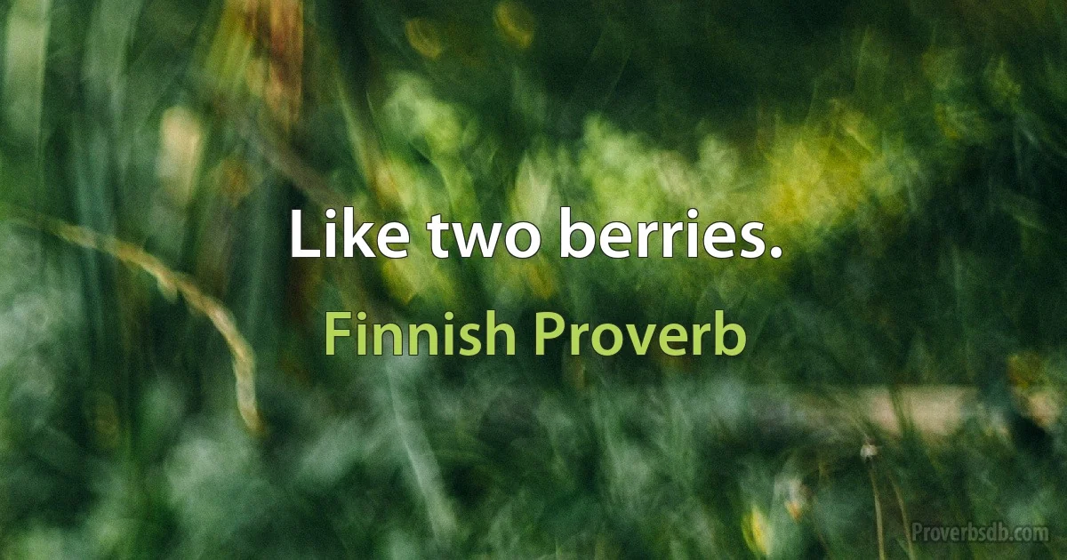 Like two berries. (Finnish Proverb)