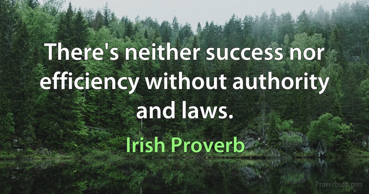 There's neither success nor efficiency without authority and laws. (Irish Proverb)