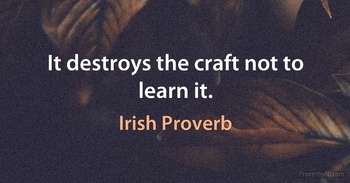 It destroys the craft not to learn it. (Irish Proverb)