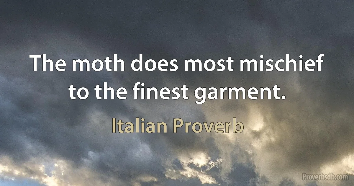 The moth does most mischief to the finest garment. (Italian Proverb)