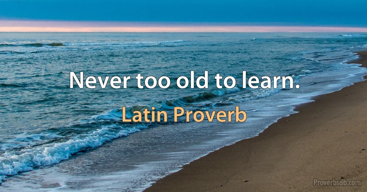 Never too old to learn. (Latin Proverb)