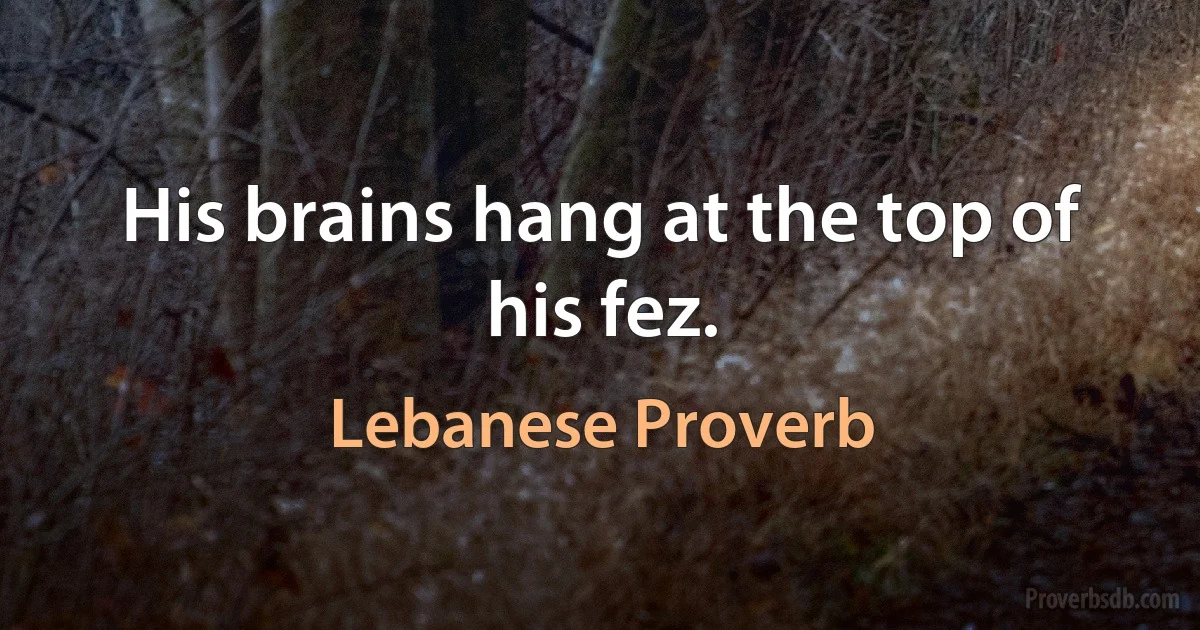 His brains hang at the top of his fez. (Lebanese Proverb)