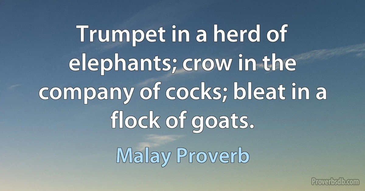 Trumpet in a herd of elephants; crow in the company of cocks; bleat in a flock of goats. (Malay Proverb)