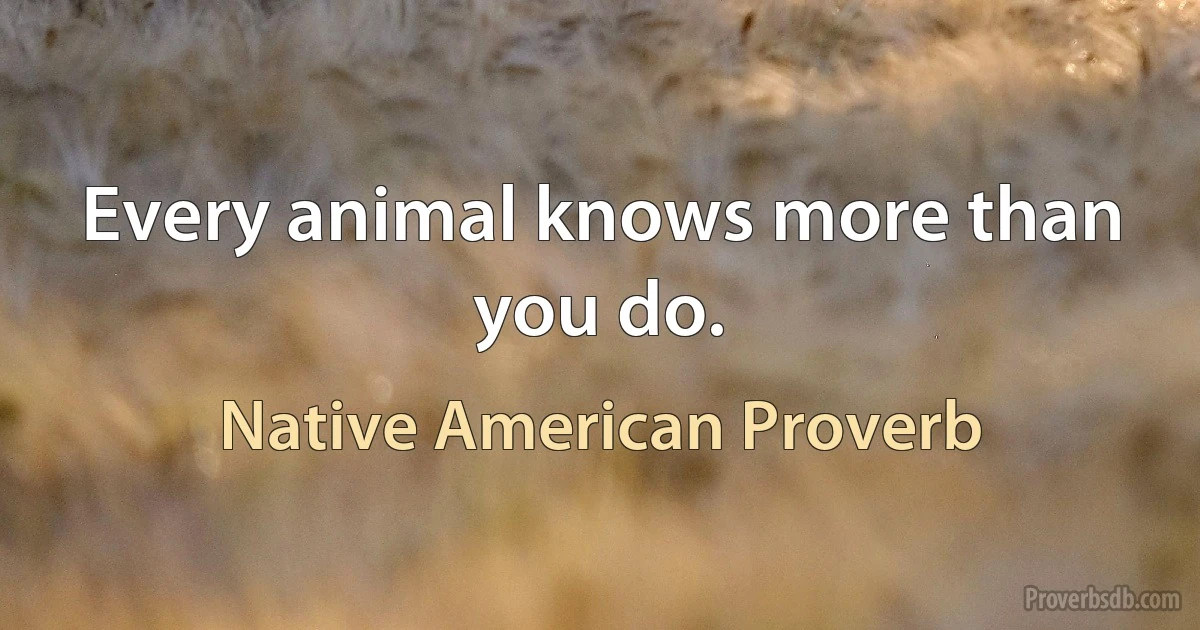 Every animal knows more than you do. (Native American Proverb)