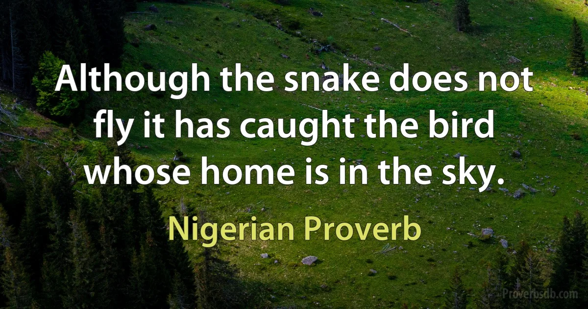 Although the snake does not fly it has caught the bird whose home is in the sky. (Nigerian Proverb)