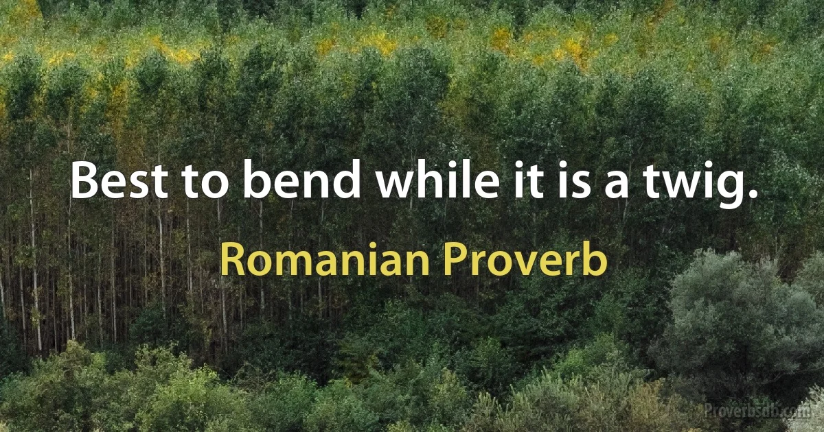 Best to bend while it is a twig. (Romanian Proverb)