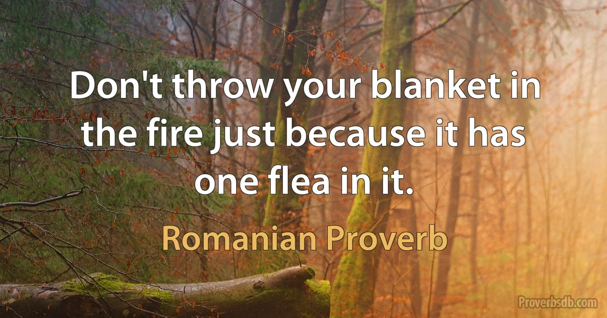 Don't throw your blanket in the fire just because it has one flea in it. (Romanian Proverb)