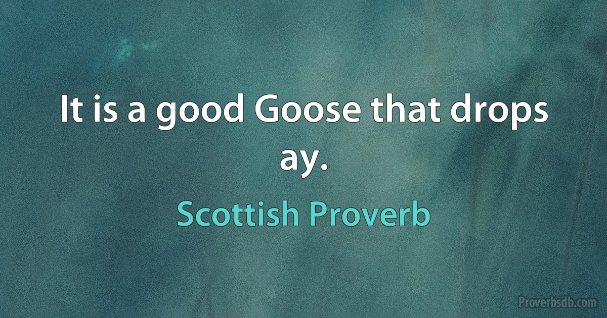 It is a good Goose that drops ay. (Scottish Proverb)